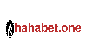 玩转bet9.com，创意无限